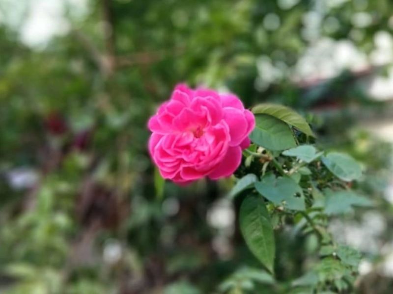 Navigating life as an introvert – A glaring&nbsp;question